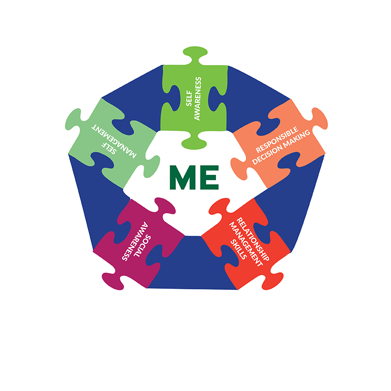 RUMERTIME Plots & Social Emotional Competencies (ME)