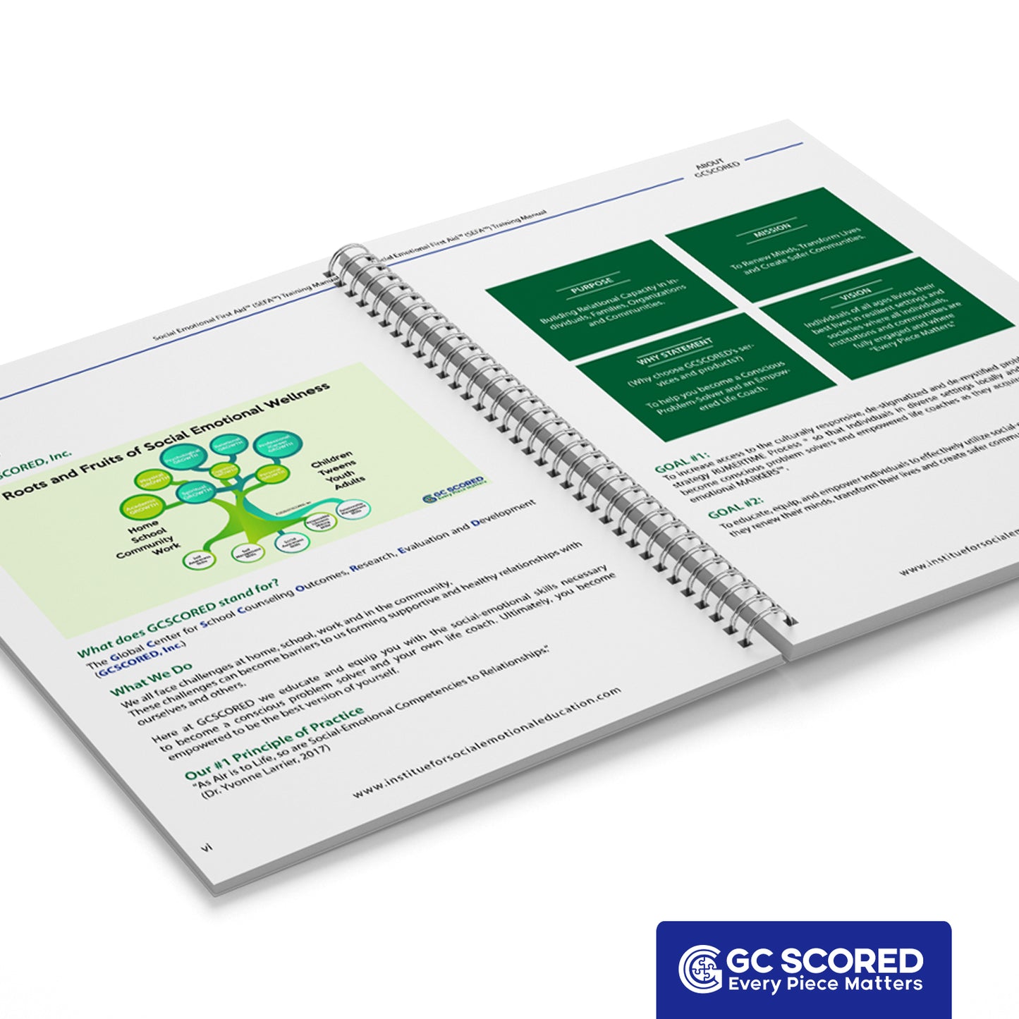 SEFA Manual Ebook