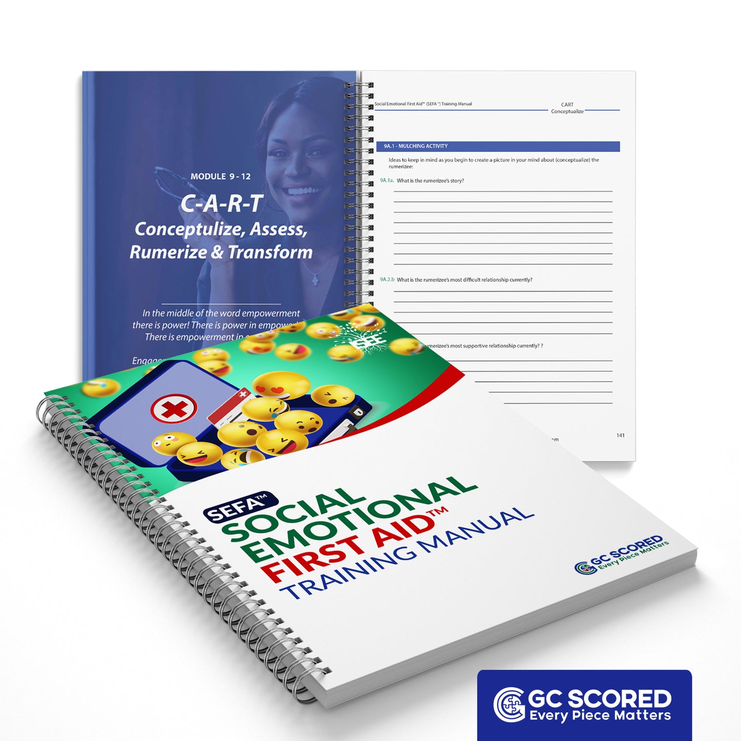 SEFA Manual Ebook